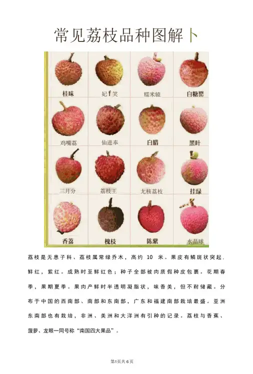 一眼看懂荔枝品种、功效、产地2022.06