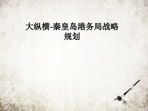 大纵横-秦皇岛港务局战略规划