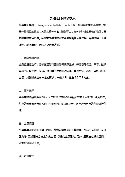 金桑葚种植技术
