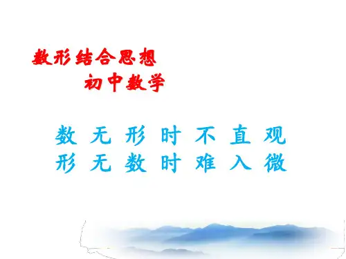 数学数形结合PPT