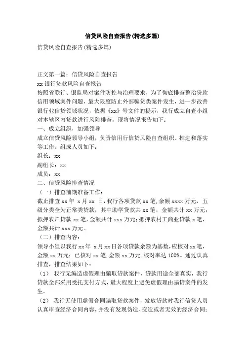 信贷风险自查报告多篇