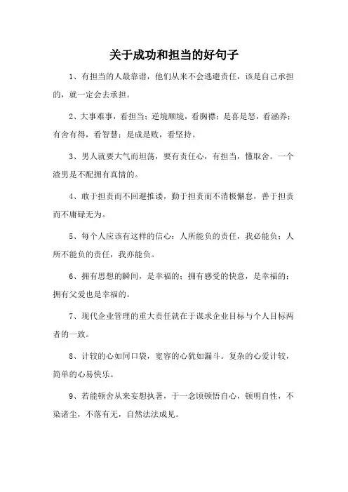关于成功和担当的好句子