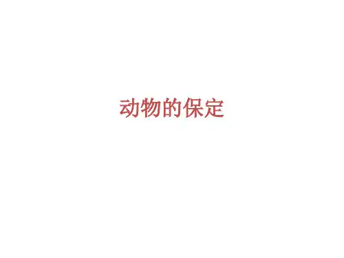 动物的保定