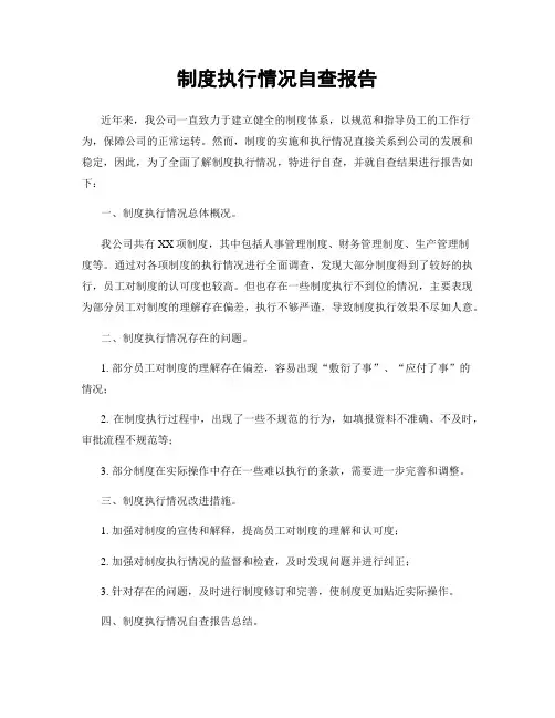 制度执行情况自查报告