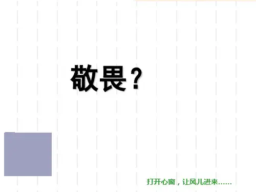 班会敬畏制度服从管理ppt课件