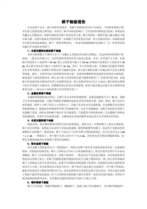 梯子检验报告