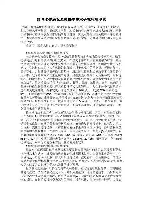 黑臭水体底泥原位修复技术研究应用现状
