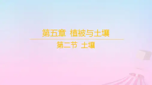 新教材高中地理第五章植被与土壤第二节土壤课件新人教版必修第一册