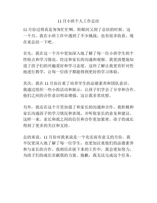 11月小班个人工作总结