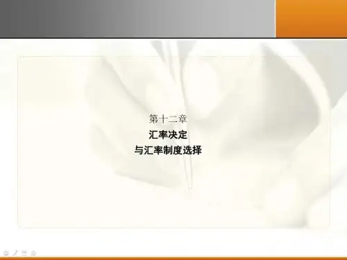 汇率决定与汇率制度选择(ppt 108张)