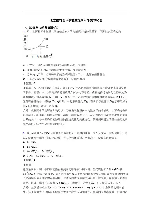 北京樱花园中学初三化学中考复习试卷