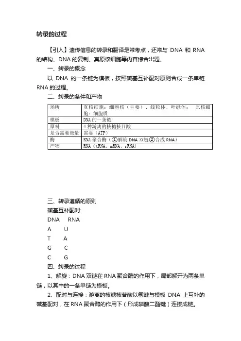 转录的过程