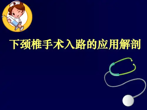 下颈椎手术入路的应用解剖ppt课件