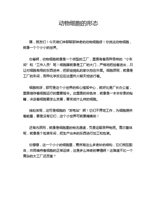动物细胞的形态