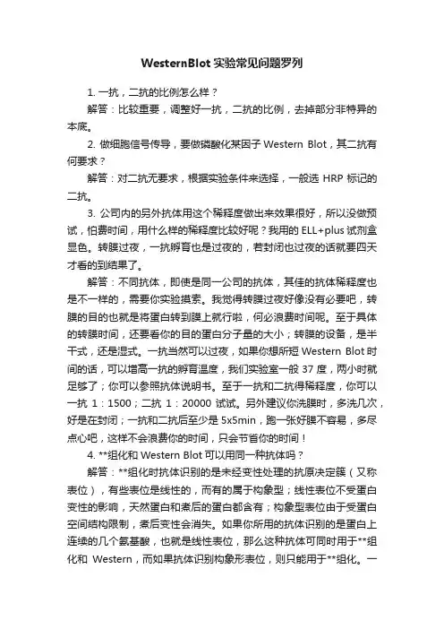 WesternBlot实验常见问题罗列