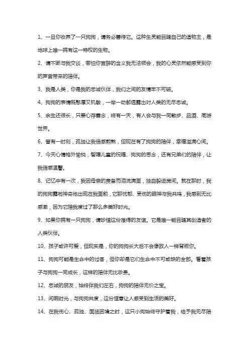 狗狗陪伴暖心的文案