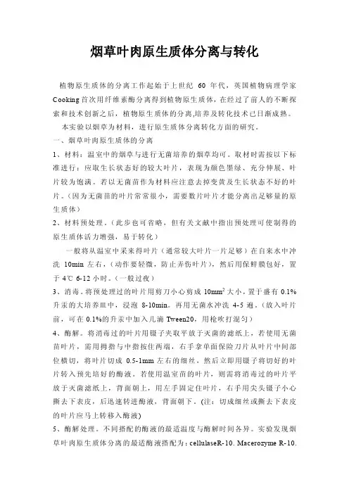 烟草叶肉原生质体分离与转化