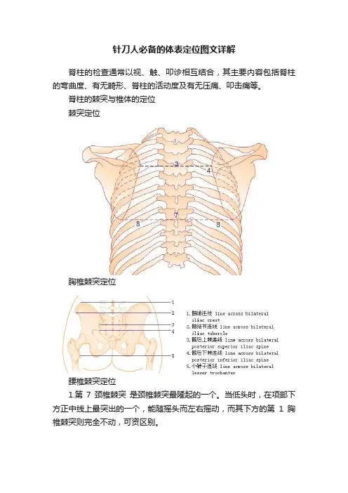 针刀人必备的体表定位图文详解