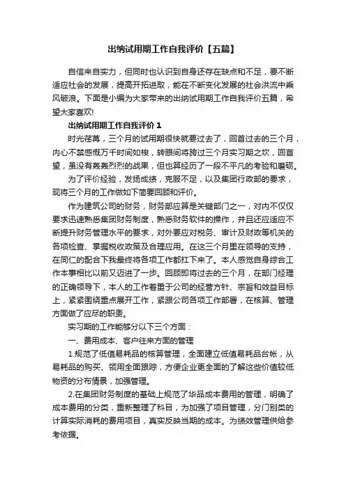 出纳试用期工作自我评价【五篇】