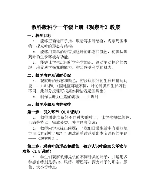 教科版科学一年级上册《观察叶》教案