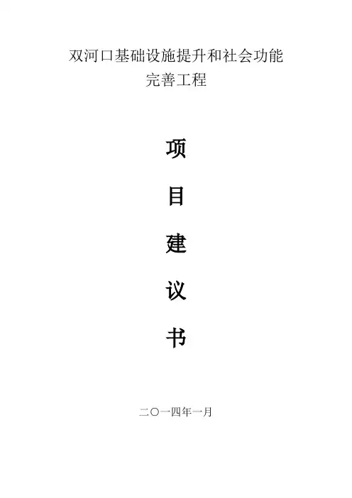 双河口基础设施提升和社会功能完善工程项目建议书