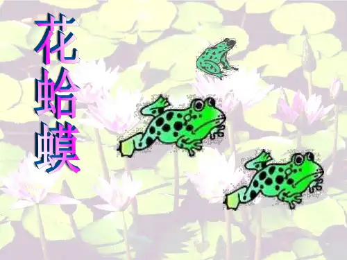 《花蛤蟆》PPT课件 (共7张PPT)