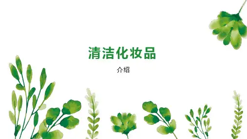 清洁化妆品 