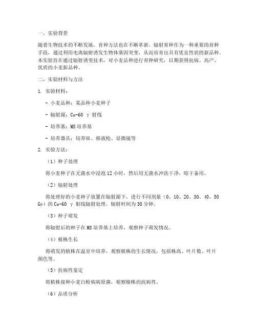 辐射育种实验报告