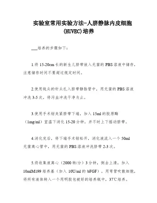 实验室常用实验方法-人脐静脉内皮细胞(HUVEC)培养