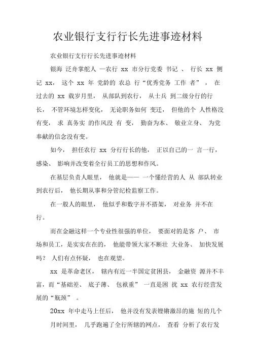 农业银行支行行长先进事迹材料.doc