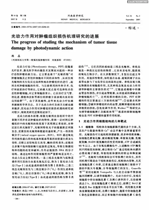 光动力作用对肿瘤组织损伤机理研究的进展