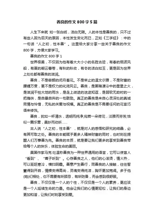 善良的作文800字5篇