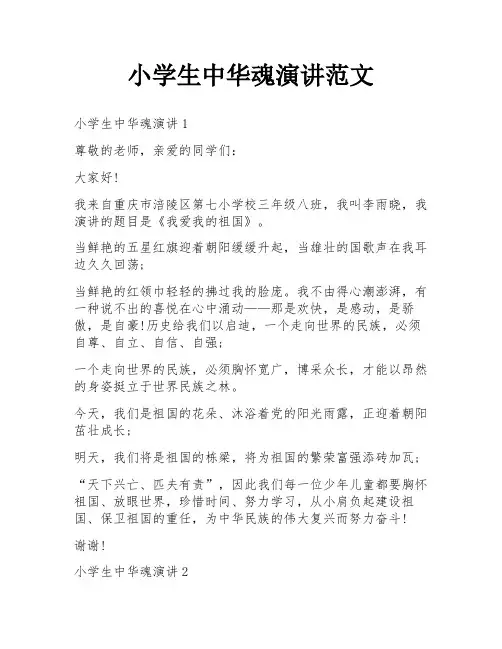 小学生中华魂演讲范文
