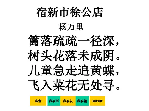 宿新市徐公店教学课件公开课课件