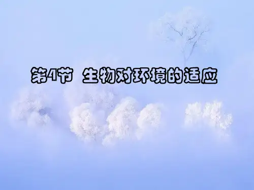 生物对环境的适应PPT精品课件