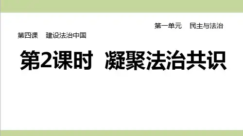 部编人教版九年级上册道德与法治 第2课时 凝聚法治共识 课后习题练习复习课件