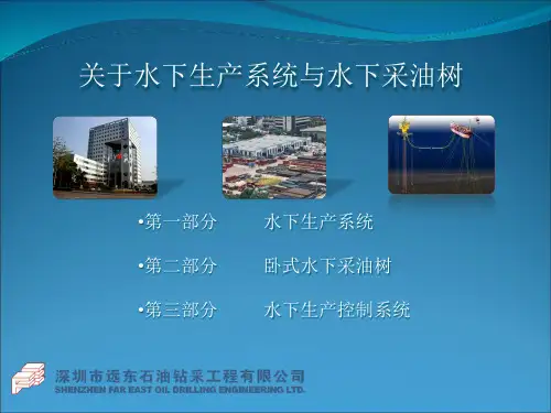 水下生产系统与采油树