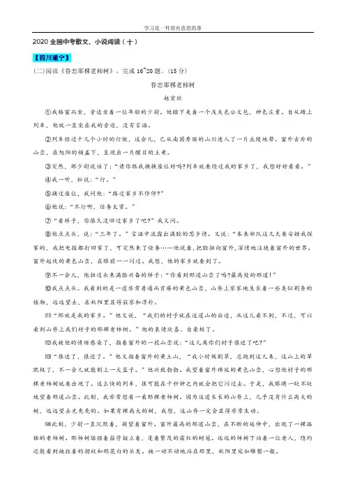 2020全国中考散文、小说阅读(十)含答案