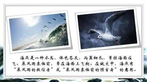 第4课《海燕》课件(共47张PPT)2022-2023学年统编版语文九年级下册