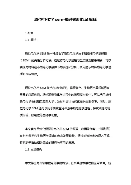 原位电化学sem-概述说明以及解释