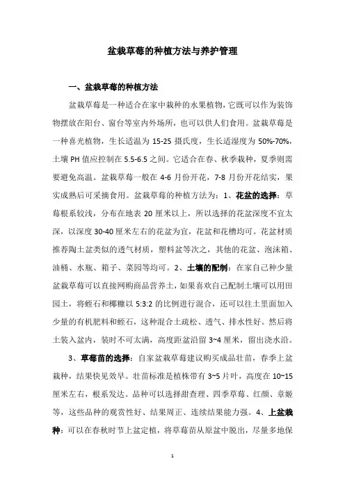 盆栽草莓的种植方法与养护管理