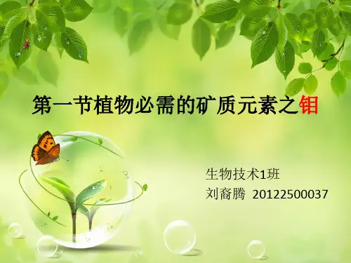 植物生理学植物植物的矿质营养之钼