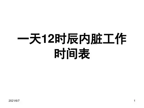 一天12时辰内脏工作时间表