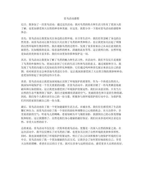 赏鸟活动感想