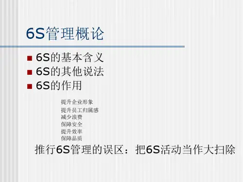 精选6s管理实战6S管理概论及实例PPT
