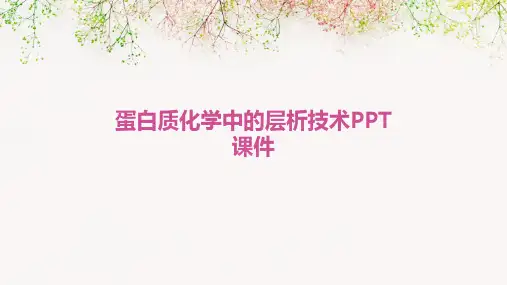 蛋白质化学中的层析技术PPT课件