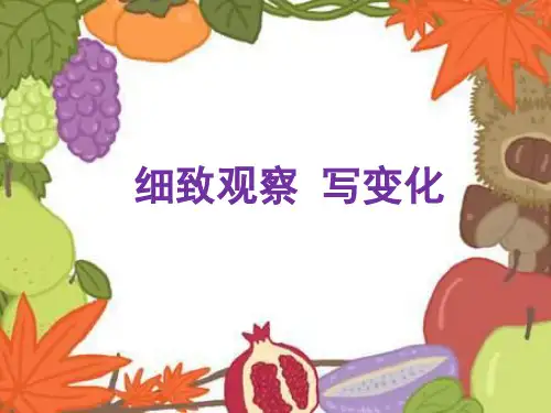 部编版语文三年级上册习作例文：我爱故乡的杨梅(课件)(15)