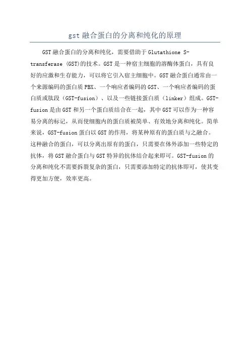 gst融合蛋白的分离和纯化的原理