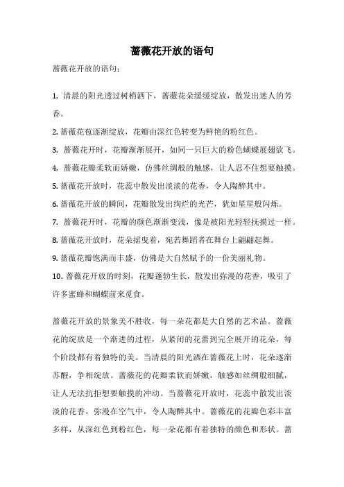 蔷薇花开放的语句