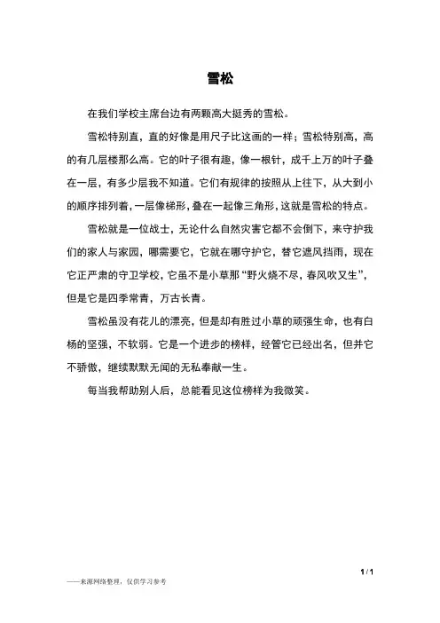 雪松_五年级作文